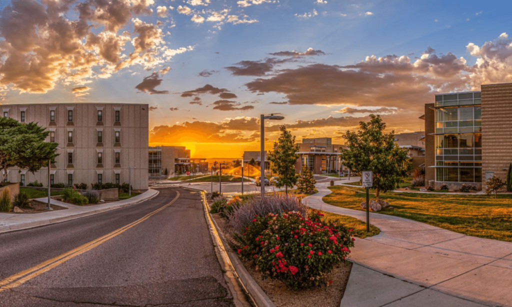 Colorado state university