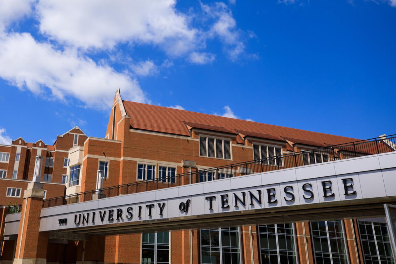 University of tennessee